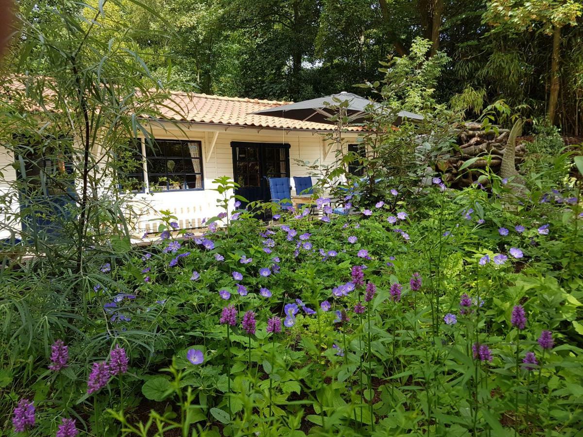 L'Amour Pur Schoorl Exterior foto