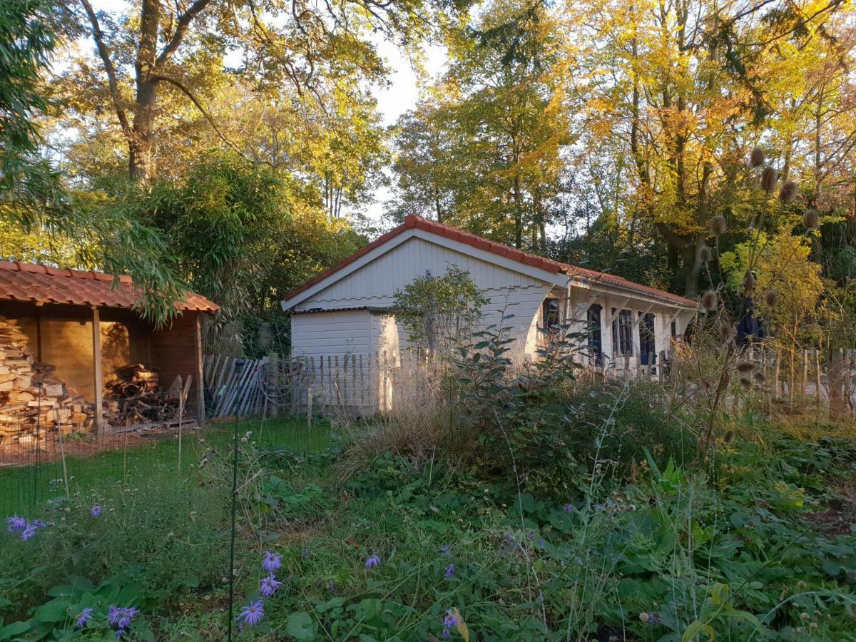 L'Amour Pur Schoorl Exterior foto